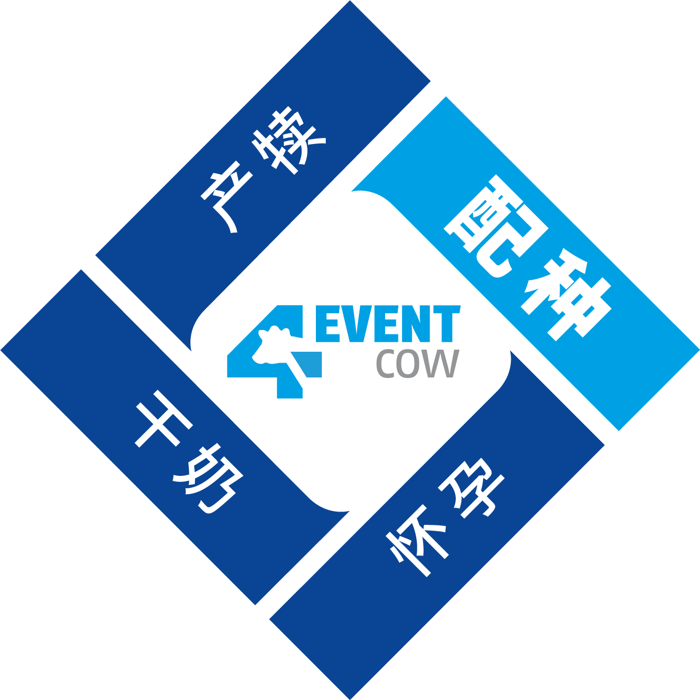 资源 13@4x.png