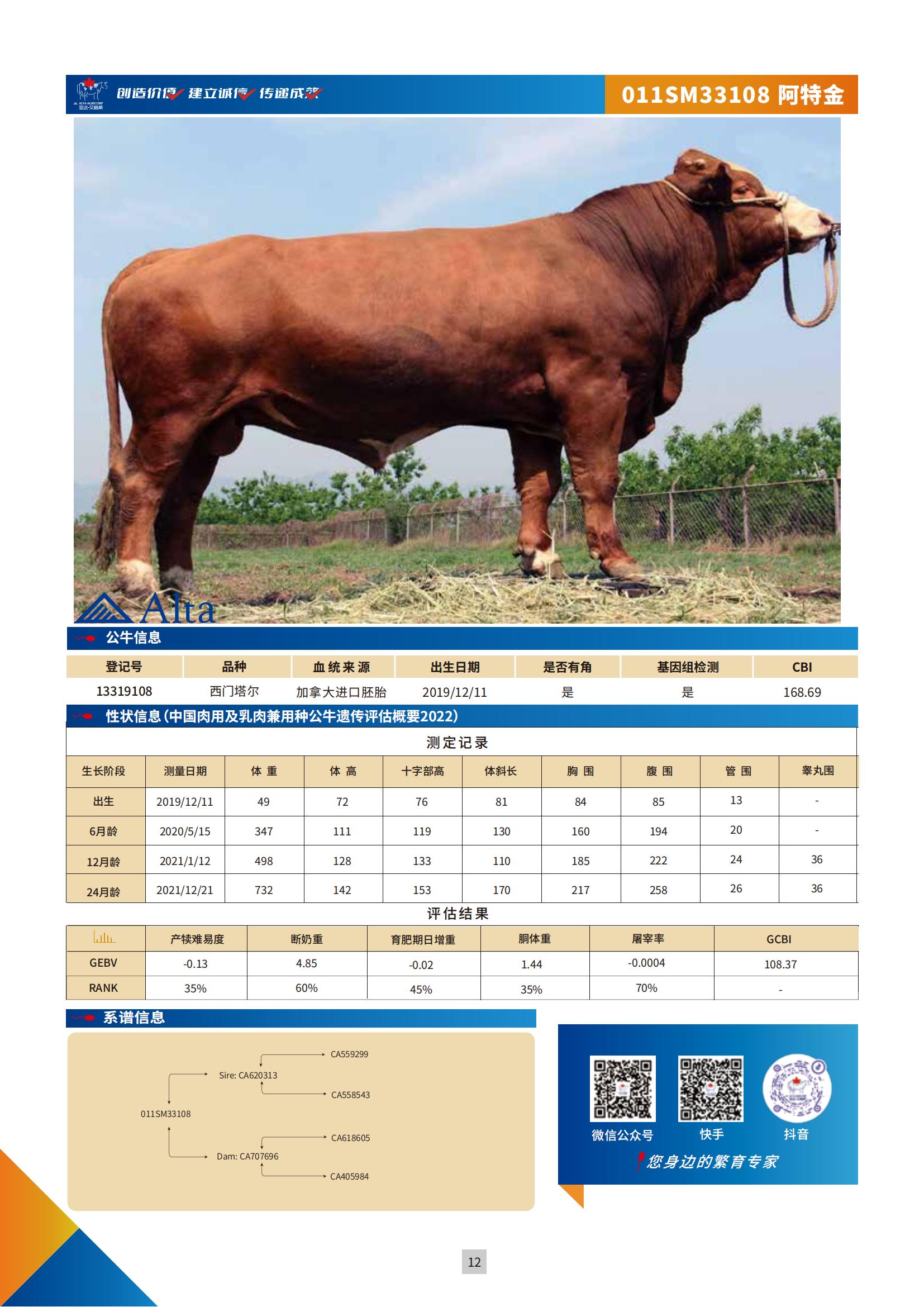 国内肉牛模版13319108-1130-12页_00.jpg