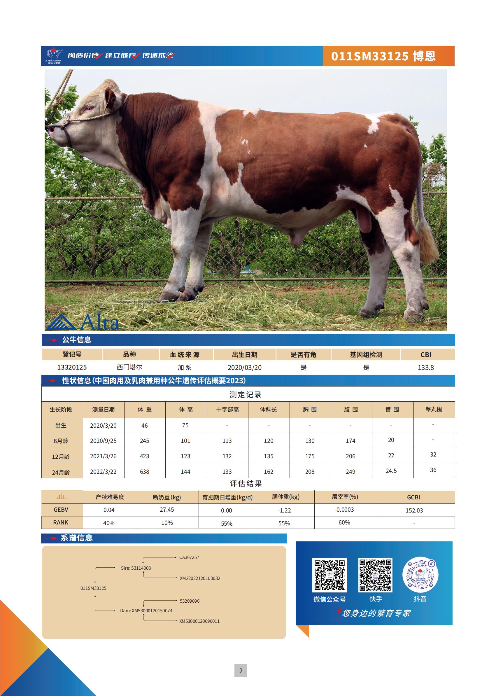 国内肉牛模版13319125-1213-页面2_00.jpg