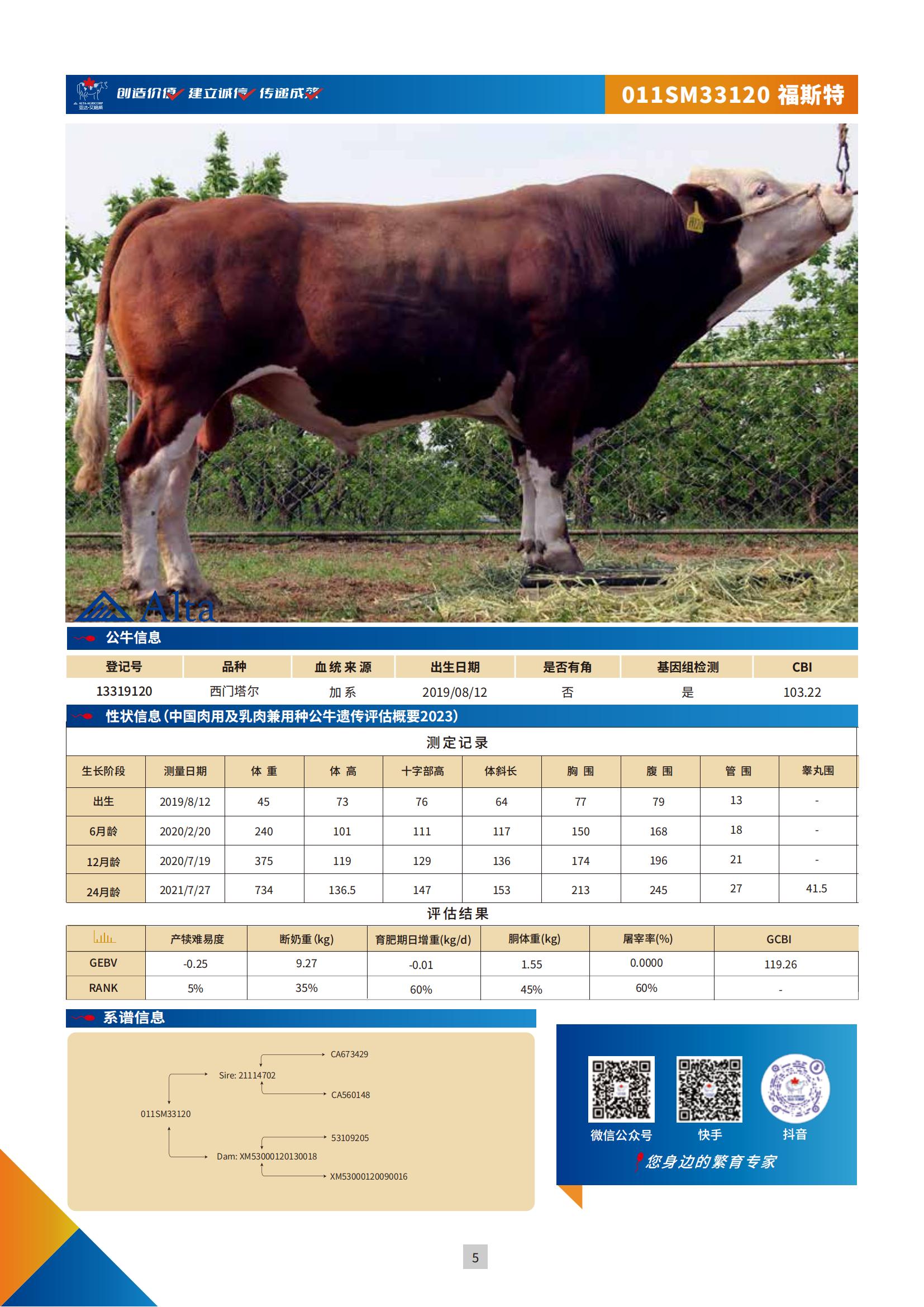 国内肉牛模版13319120-1214-5页_00.jpg
